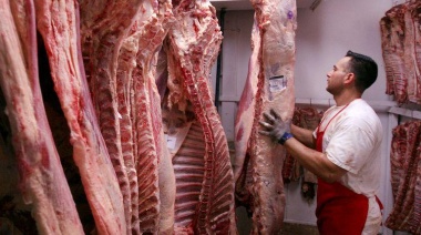El Gobierno creó un registro de exportación de carnes para bajar el precio
