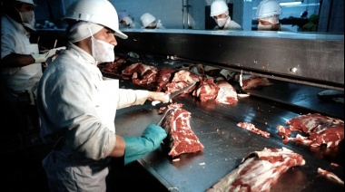 El lado oscuro de la carne