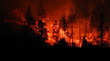 A fuego lento: arde parte de la Patagonia y el Gobierno Nacional continúa sin reaccionar en tiempo y forma