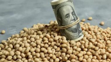 El dólar soja y la destrucción del Mercado Sojero