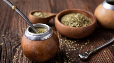 Yerba mate argentina, un alimento que se revaloriza