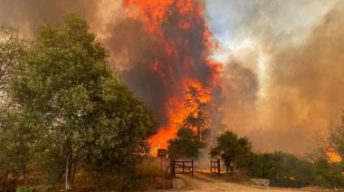 Chile: los incendios en Valparaíso y Viña del Mar, dejan un saldo de 112 muertos y daños ambientales irreparables