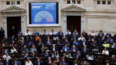 Honorable psiquiátrico de la Nación: otro papelón bien criollo y para el olvido