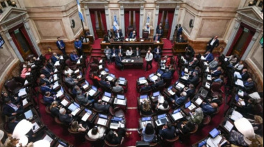 Los que no son trigo limpio no quieren Ficha Limpia: hoy desde las 11, se trata en el Senado