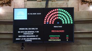 Unión por la plata y asociados, rechazó Ficha Limpia en el Senado: festejan los corruptos en todo el país