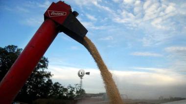 ¡Último momento! Habrá retenciones 0 para el campo hasta el 31 de octubre para todos los granos: para generar mayor oferta de dólares