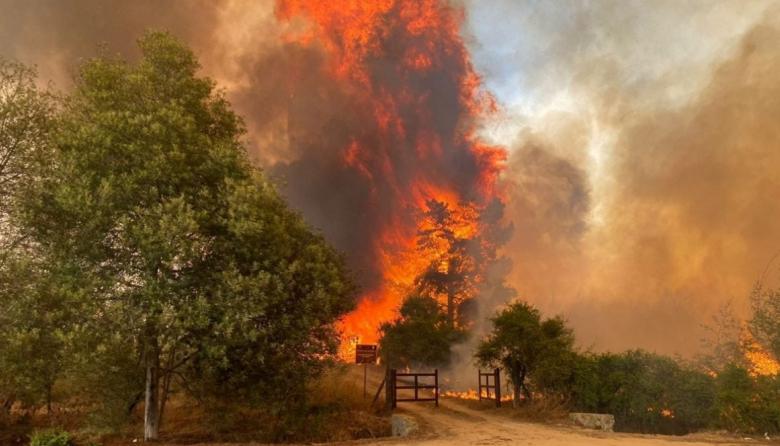 Chile: los incendios en Valparaíso y Viña del Mar, dejan un saldo de 112 muertos y daños ambientales irreparables