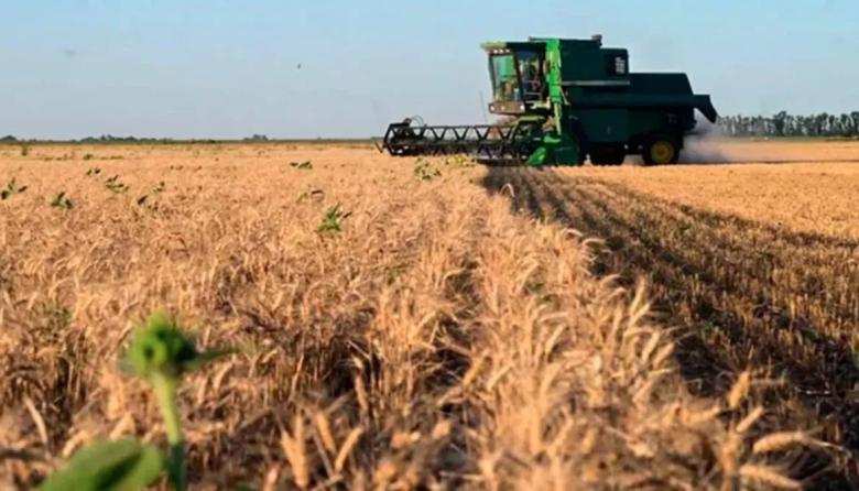 ¿Y la libertad para el campo? Solo en tres países del mundo hay retenciones: a partir del 1 de julio, vuelven a subir