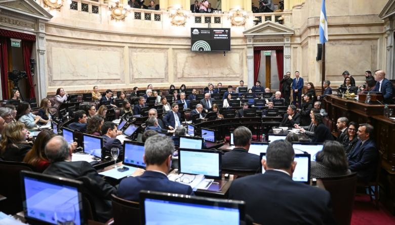 Senado: se cayó la sesión para debatir el proyecto de propiedad privada y habrá cuarto intermedio hasta el 6 de agosto