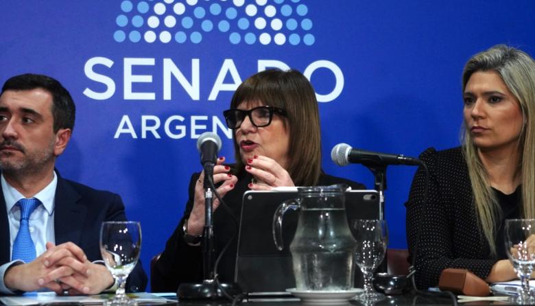 Ley de Tierras… ¿Entrega de soberanía o progreso? Patricia Bullrich confirmó que acordó con aliados un límite del 25%