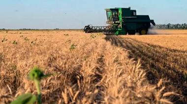 ¿Y la libertad para el campo? Solo en tres países del mundo hay retenciones: a partir del 1 de julio, vuelven a subir