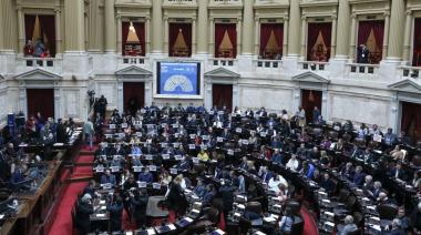 El honorable Congreso de la Nación es un psiquiátrico: un nuevo escándalo levantó la sesión en Diputados