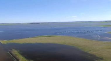 Emergencia rural: tras el temporal de la semana pasada, más de 5 millones de hectáreas quedaron inundadas