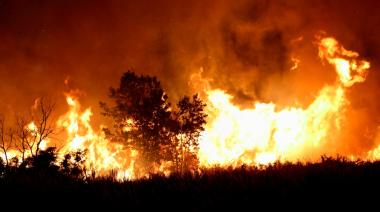 Catástrofe en La Patagonia: los incendios provocados causan la peor tragedia ambiental en 20 años