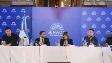 Senado: el Gobierno logró dictamen luego de la media sanción en Diputados y espera transformarla en ley la semana próxima, antes que Milei hable ante el Congreso