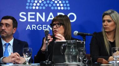 Ley de Tierras… ¿Entrega de soberanía o progreso? Patricia Bullrich confirmó que acordó con aliados un límite del 25%