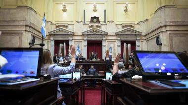 El Senado aprobó un proyecto que establece un Régimen de Incentivo para Inversores Relevantes (RIIR)