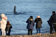Cada vez se viaja menos: CAME informó que, durante las vacaciones de invierno, se produjo un descenso del 10,9%