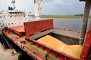 Según un informe del Consejo Agroindustrial Argentino (CAA), las exportaciones de la agroindustria crecieron un 4,4% entre enero y agosto de 2025