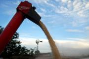 ¡Último momento! Habrá retenciones 0 para el campo hasta el 31 de octubre para todos los granos: para generar mayor oferta de dólares