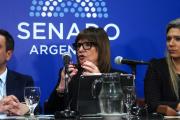 Ley de Tierras… ¿Entrega de soberanía o progreso? Patricia Bullrich confirmó que acordó con aliados un límite del 25%