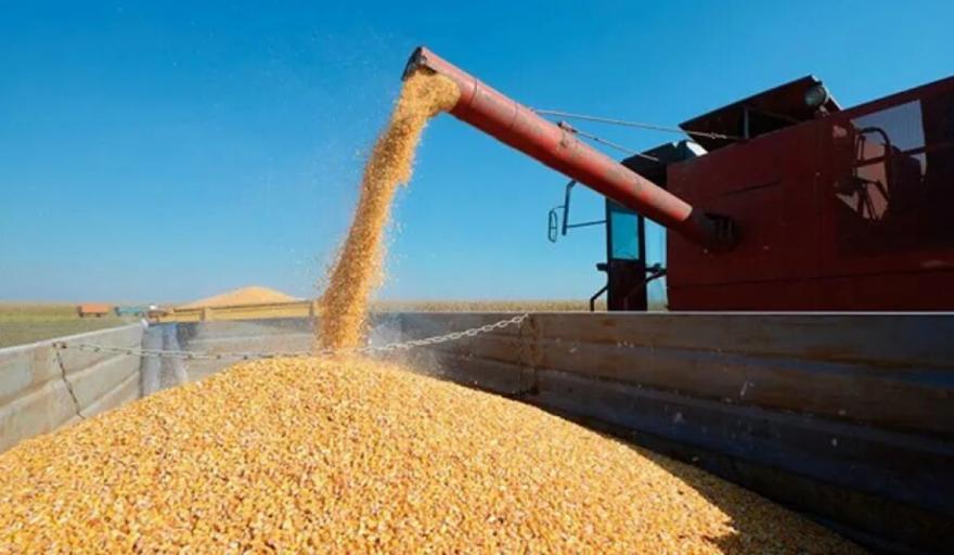 El Gobierno cerró las exportaciones de harina y aceite de soja y en breve aumentaría las retenciones - Expreso News